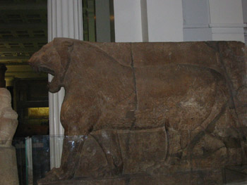 IMG_0160