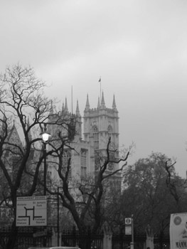 IMG_0252