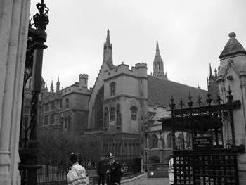 IMG_0254