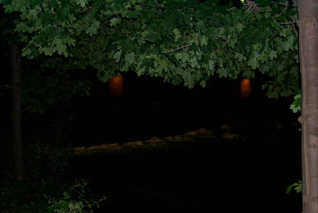 nightfalls1