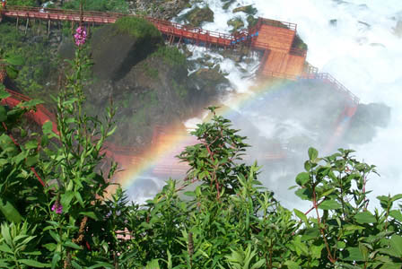 rainbow3