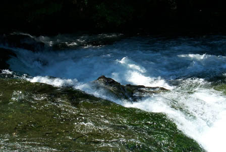 rapids2