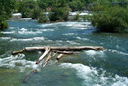 rapids4