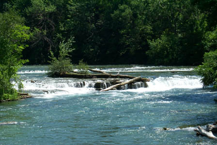 rapids7
