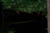 nightfalls1