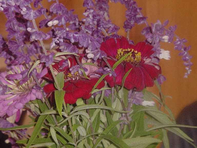 DSC00039