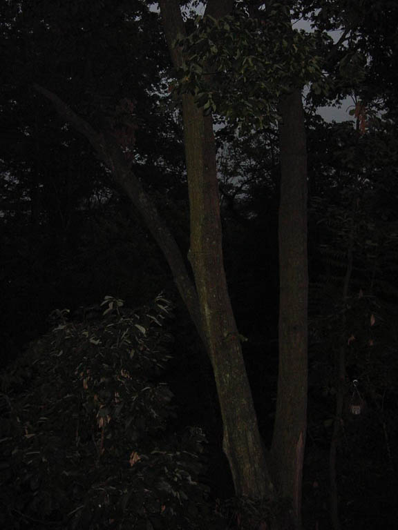 DSC00055