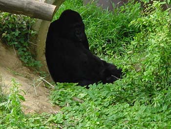 DSC00052