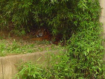 DSC00054